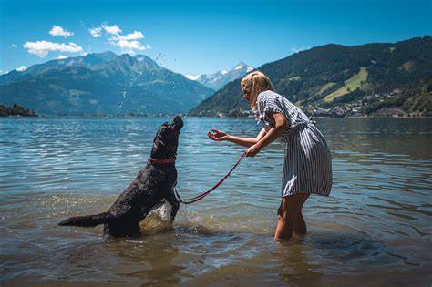 Trüffelsucher mit Hund und Werkzeug