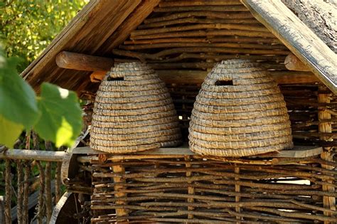 Traditionelle Heideimkerei und Bienenkorb in mediterraner Heidelandschaft