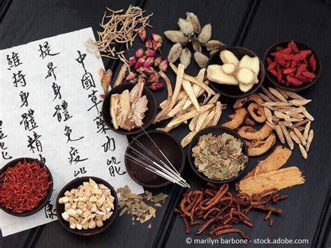 Traditionelle Medizin der Māori mit Manuka-Pflanze