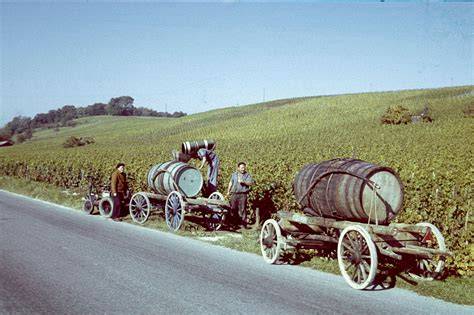 Traditionelle Weinlese und Marmeladenherstellung in der Familie
