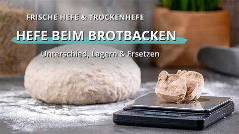 Trockenhefe im Vergleich zu frischer Hefe