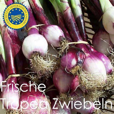 Tropea Zwiebeln im Bündel