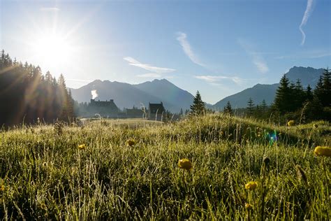 Typischer norwegischer Bienenstandort in unberührter Natur