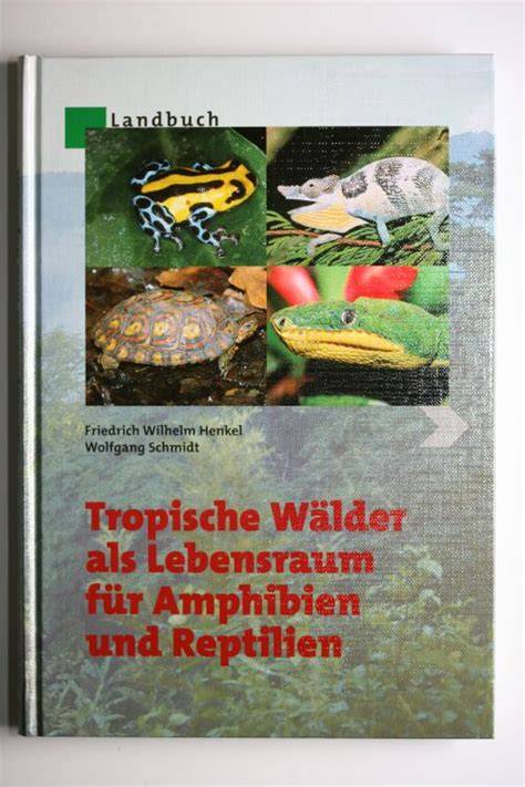 Umbrische Wälder, idealer Lebensraum für Trüffel