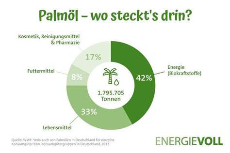 Umweltauswirkungen von Schokolade und Palmöl