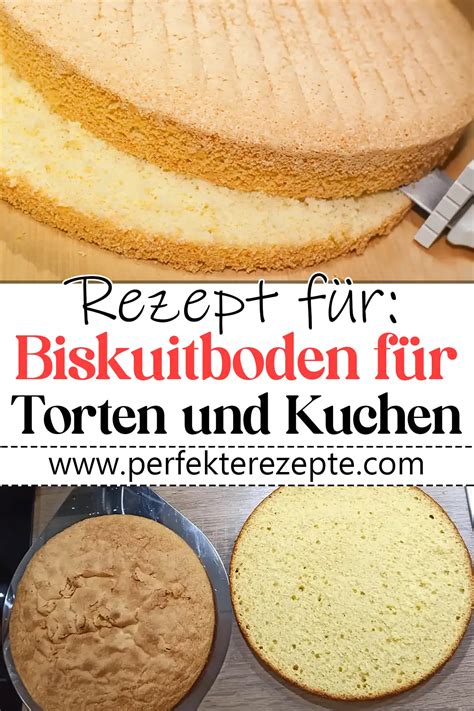 Unterschiedliche Böden für Mango Frischkäse Torten: Keks- und Biskuitboden