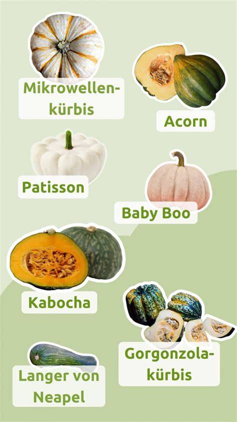 Unterschiedliche Kürbissorten im Vergleich (Hokkaido, Butternut, Sombra)