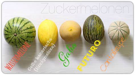 Unterschiedliche Melonensorten: Cantaloupe, Honigmelone, Galiamelone