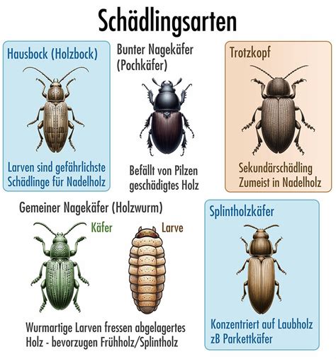 Unterschiedliche Schädlinge und ihre Merkmale im Vergleich