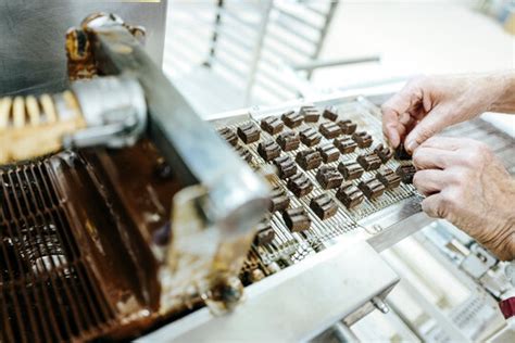 Unterschiedliche Schritte der Pralinenherstellung: Temperierung, Füllung, Dekoration