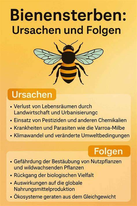 Ursachen und Folgen des Bienensterbens (Infografik)
