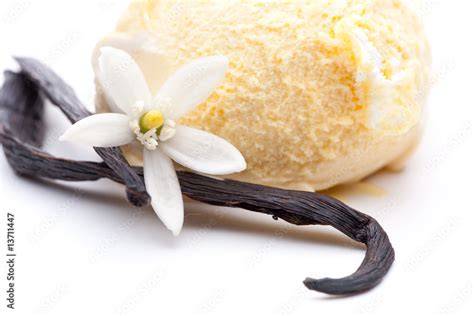 Vanilleeis mit Vanilleschote und Nusseis