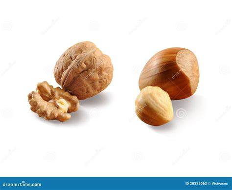 Varianten: Haselnuss vs. Walnuss, mit Marmeladenschicht oder Kuvertüre