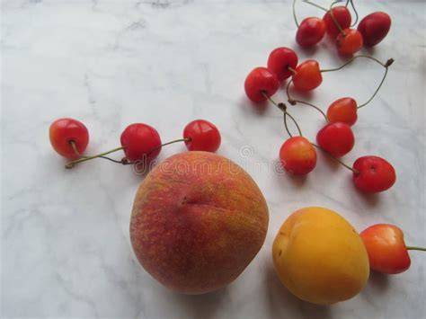Varianten: Pfirsiche, Aprikosen, Kirschen und Himbeeren auf Pudding