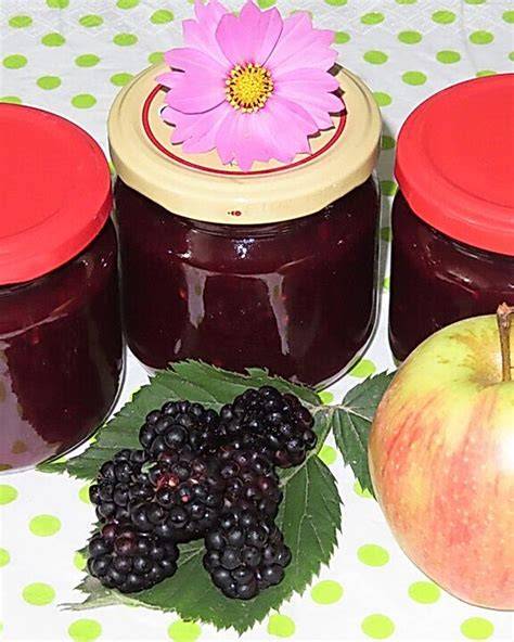 Varianten-Infografik: Vanille, Rotwein, Apfel - Aromaprofil der Brombeermarmelade
