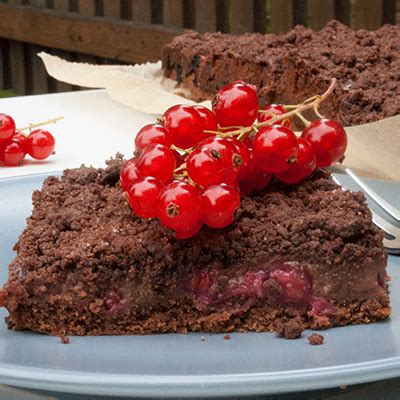 Variation: Schokopudding und Johannisbeeren auf dem Blech