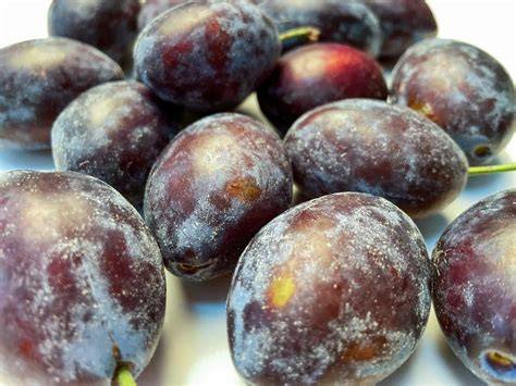 Variationen: Kirschen, Beeren, Pflaumen als Belag