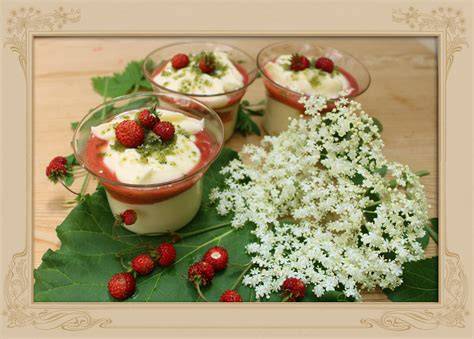 Variationen: Nuss-Nougat-, Bananen-Kokos- und Rhabarber-Pudding neben Waldmeister-Götterspeise