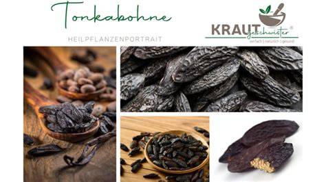 Variationen: Rosinen, Mandelplättchen, Tonkabohne, Gemüse-Gläschen (Fotocollage)