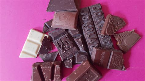 Vegane Schokoladenhasen im Vergleich (verschiedene Marken und Designs)