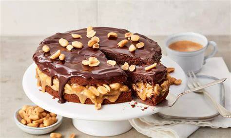 Veganer Erdnuss-Schoko-Kuchen mit Schokoglasur