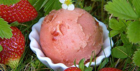 Veganes Erdbeereis mit Kokosmilch und frischen Erdbeeren