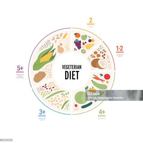 Vegetarische Ernährung Infografik