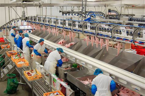 Verarbeitung des Schokoladenteigs