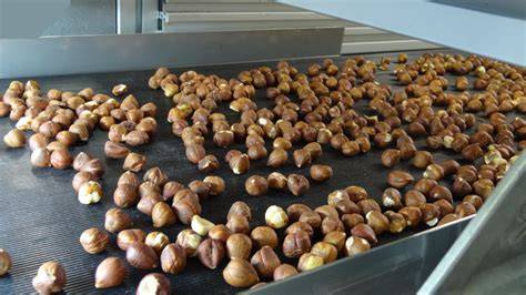 Verarbeitung von Haselnüssen und Gianduia