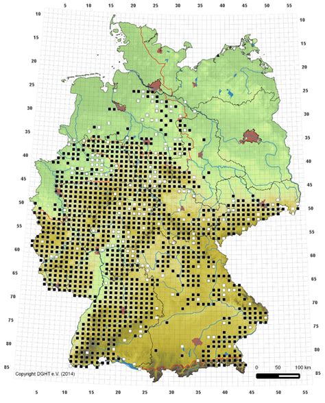 Verbreitungskarte des weltweiten Kakaogürtels