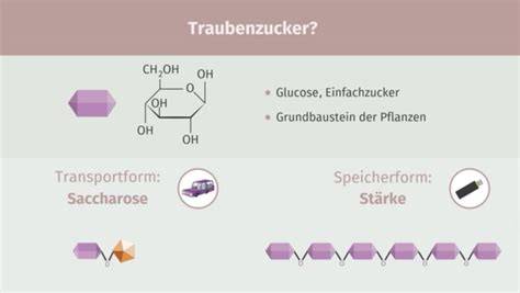 Vergleich: Auskristallisierter Zucker versus Schimmelpilz im Ahornsirup