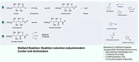 Vergleich: Karamellisierung mit Backpulver und Maillard-Reaktion