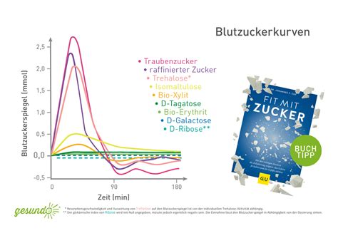 Vergleich: Schnelligkeit verschiedener Zuckerarten beim Blutzuckeranstieg