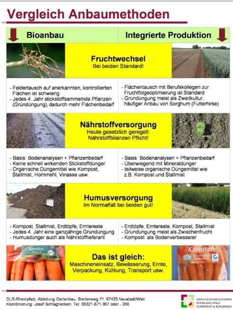 Vergleich: Zutatenlisten konventioneller und Bio-Tiefkühlpizza