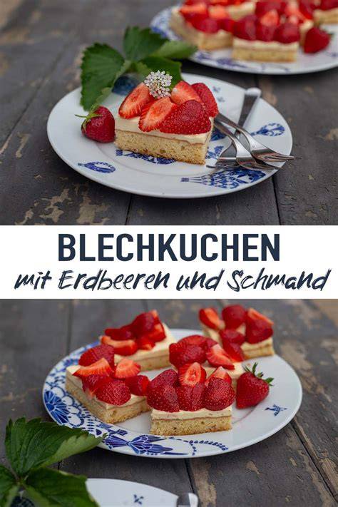 Vergleich: klassischer Schokobiskuit, glutenfreier Biskuit, Blechkuchen mit Erdbeeren, Mandelboden