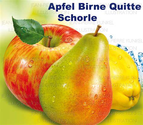 Vergleich Apfel, Birne, Quitte - Aussehen und Verwendung
