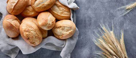 Vergleich Aufbackbrötchen Bio-Konventionell