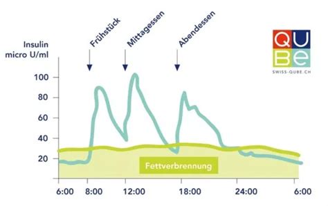 Vergleich Glucoseaufnahme im Körper