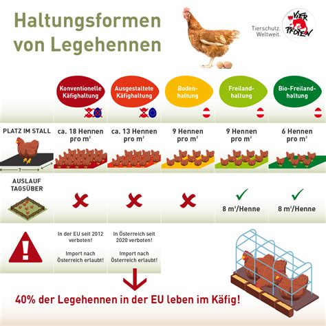 Vergleich Haltungsformen Eier Kaufland