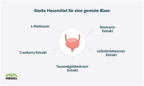 Vergleich Hausmittel gegen Blasenentzündung