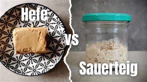 Vergleich Hefeteig vs. Sauerteig im Blechkuchen, Querschnittsbilder