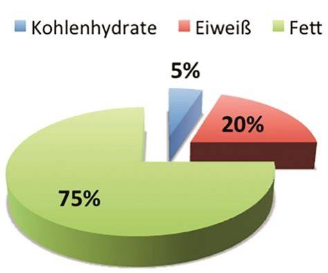 Vergleich Kaloriengehalt von Kohlenhydraten, Fetten und Eiweiß