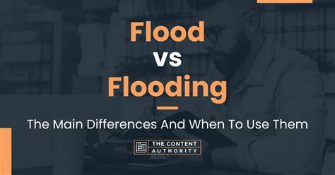 Vergleich Konsistenz: Outlining vs Flooding am Beispiel eines Dekorkekses