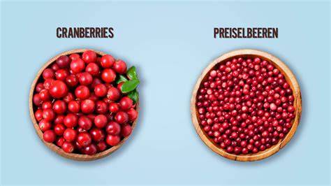 Vergleich Preiselbeeren und Cranberries