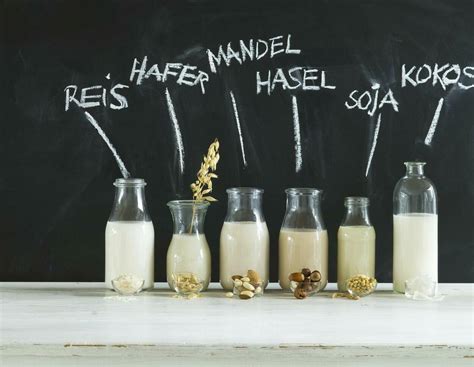 Vergleich Pudding mit Sojamilch, Mandelmilch und Kuhmilch