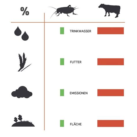 Vergleich Ressourcenverbrauch Insekten vs. herkömmliche Nutztiere