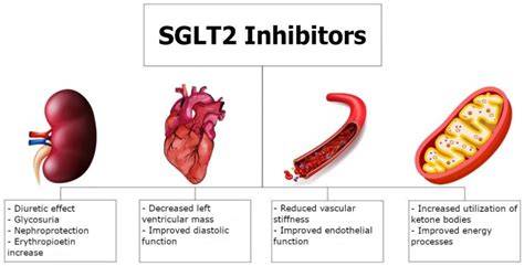 Vergleich SGLT-2-Inhibitoren vs. Metformin