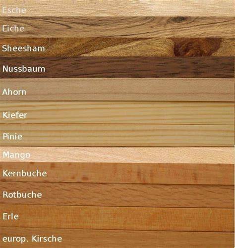 Vergleich Wildeiche, Kernbuche und Ahorn