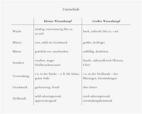 Vergleich kleiner und großer Packungsgrößen