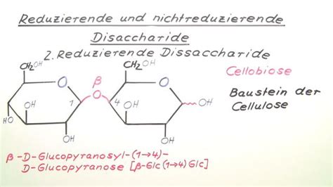 Vergleich reduzierender und nicht-reduzierender Disaccharide